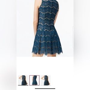 Trixxi fit and flare lace dress size 15